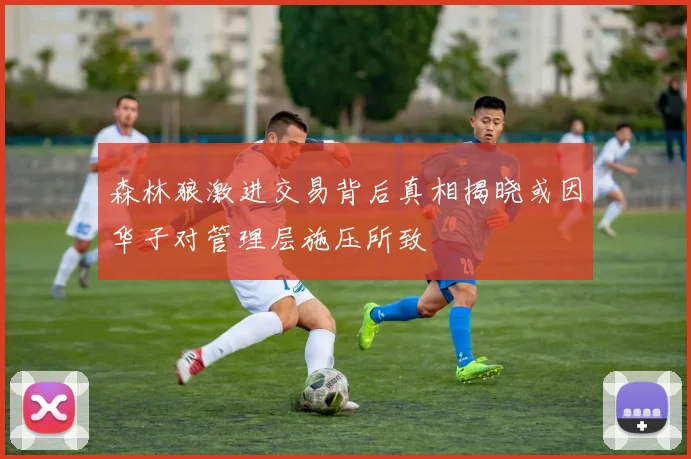 森林狼激进交易背后真相揭晓或因华子对管理层施压所致