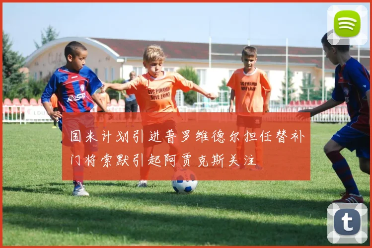 国米计划引进普罗维德尔担任替补门将索默引起阿贾克斯关注